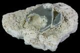 Aquamarine Crystal in Albite Crystal Matrix - Pakistan #111360-1